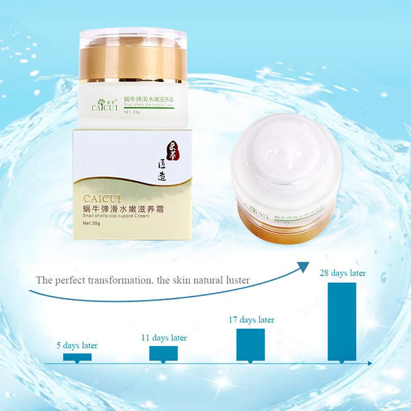 Snail Day Facial Cream