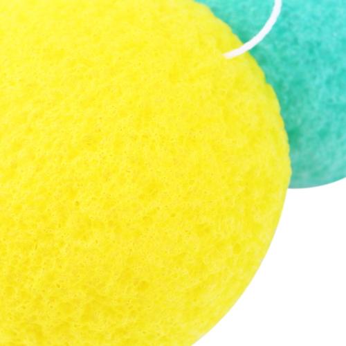 Natural  Fiber Face Brush